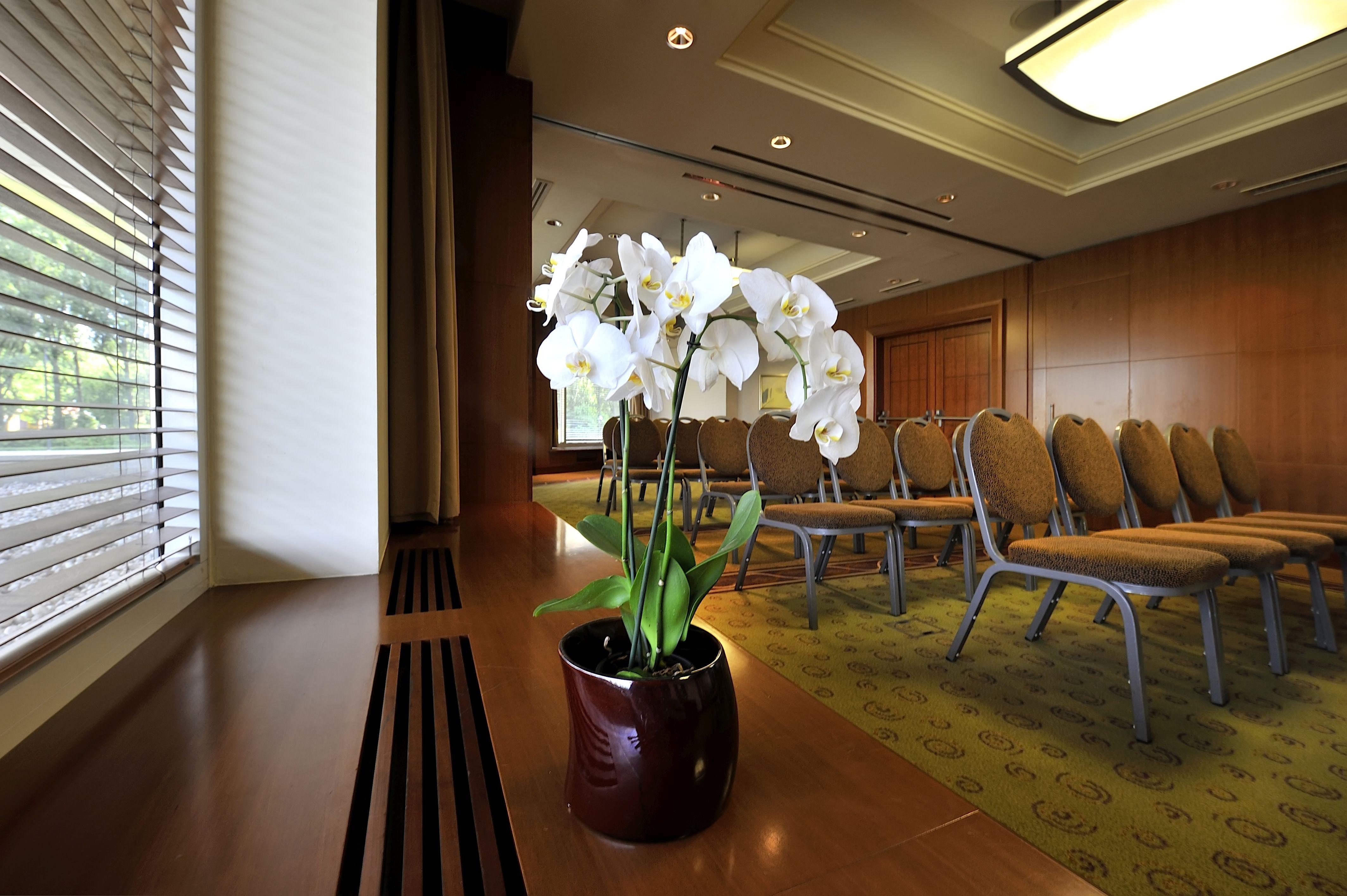 Regent Warsaw Hotel Buitenkant foto The photo shows a decorative arrangement of white orchids in a brown pot, positioned on a wooden surface. In the background, there are several empty chairs set up in a room, indicating a space that may be used for meetings or gatherings. The setting 